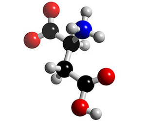 Amino Acids