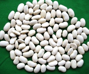 White Kidney Bean