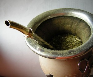 Yerba Mate