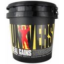 Vanilla Ice Cream - 6.85 lbs - Universal Real Gains Protein Powder