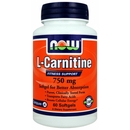 NOW L-Carnitine