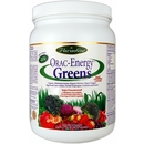 15 Packets - Paradise Herbs ORAC-Energy Greens