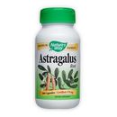 Nature's Way Astragalus