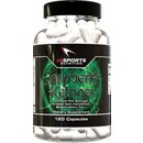 AI Sports Nutrition Raspberry Ketones