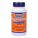 NOW Pycnogenol