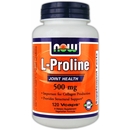 120 Vcaps - NOW L-Proline