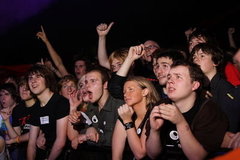 Img_3982_bigthumb