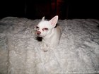 028_img_8352_thumb