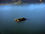 2540697820_587a470af0_micro