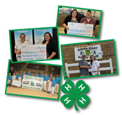 4 H spring 2016 4 H spring 2016