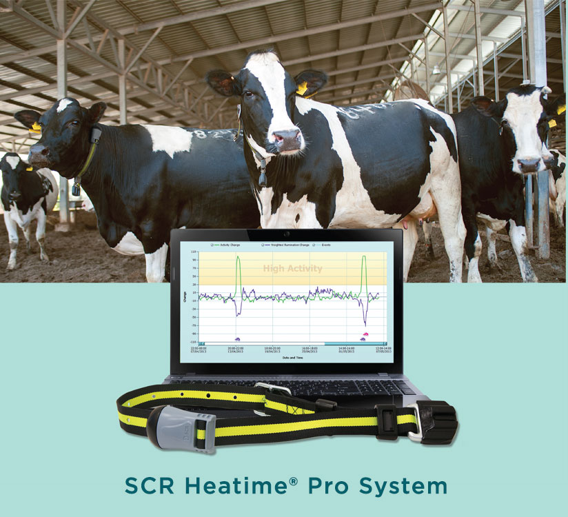 SCR Herd Monitoring Westgen