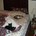 Small_dscf0082