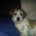 Small_img00024-20110518-1505