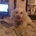 Small_photo