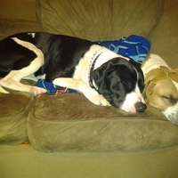 Original_img_20120201_022458