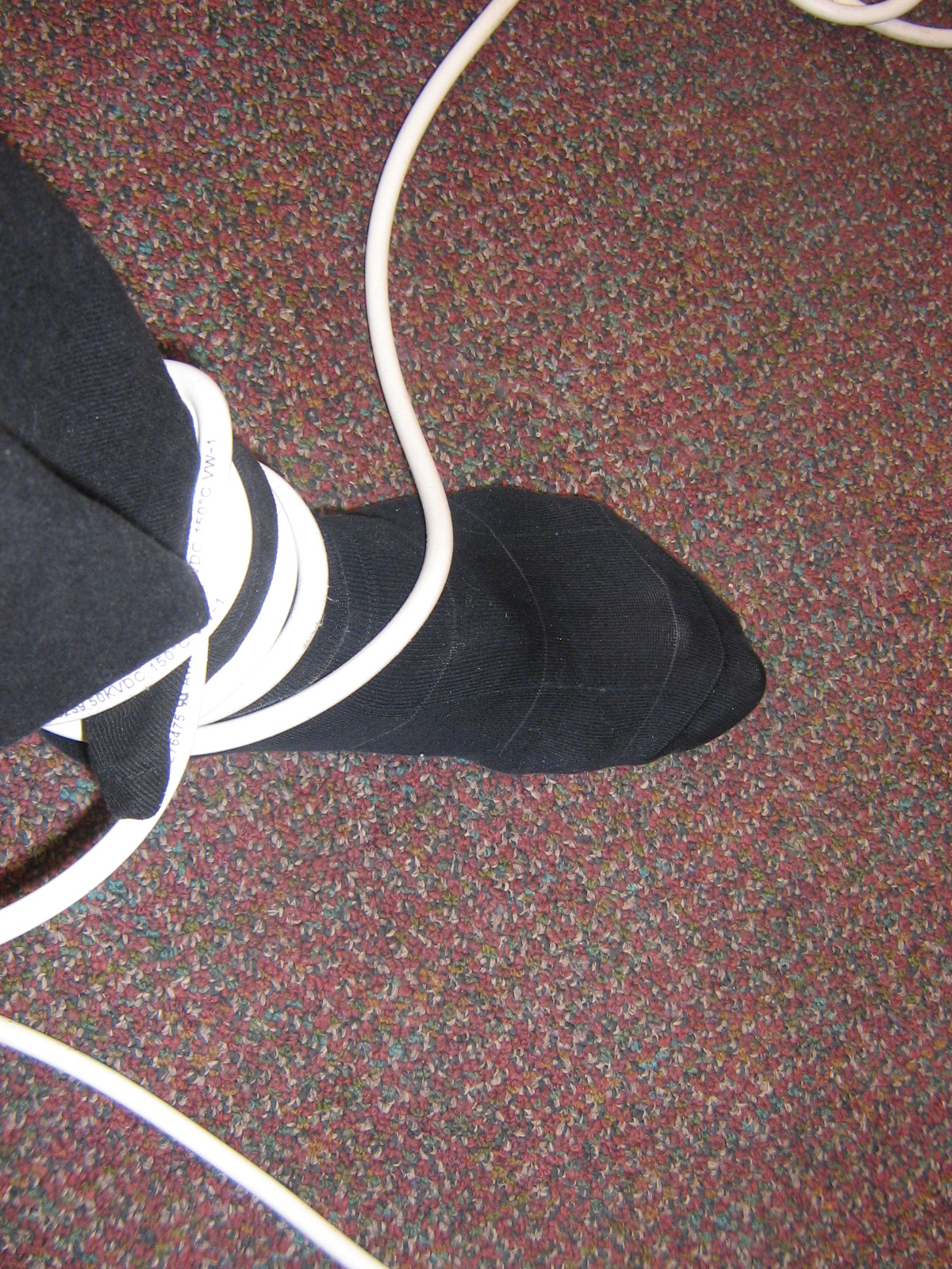 Using PEMF For Foot Wrap PEMF Live Pulsed Field Therapy