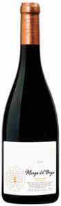 Bodega San Gregorio Manga Del Brujo 2008, Do Calatayud Bottle