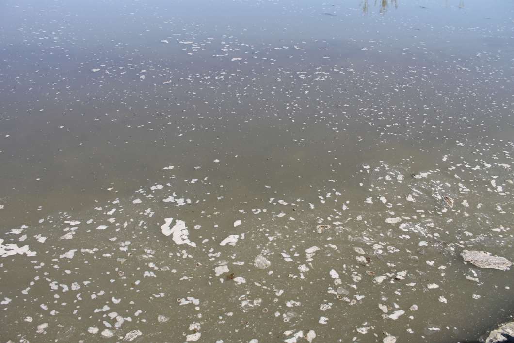 Indian River Lagoon CleanUp Poses Crucial Question What To Do With