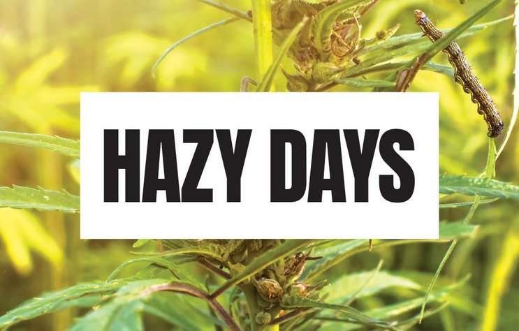 Orlando Weekly Cover – hemp, orlandoweekly.com