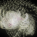 Adm_animation_051_crop128