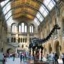 Natural-history-museum_crop64