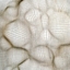 2475990989_4de66bc2f7_crop64