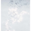 4703471753_9598668b89_b_crop64