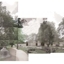 Ds16_alexcook_02_crop64