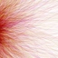 Toxi_r2_crop64
