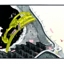 Nina_op-a_front_crop64