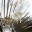 Ben-kirk_a18_crop64