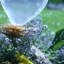 Ben-kirk_a11_crop64