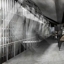 View-shiitake_crop64