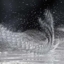 Takeiseki0064-copy-435x171_crop64