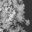 04mocape_masse_09-435x580_crop64