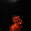 3343319877_85b54a2dd8_m_crop64
