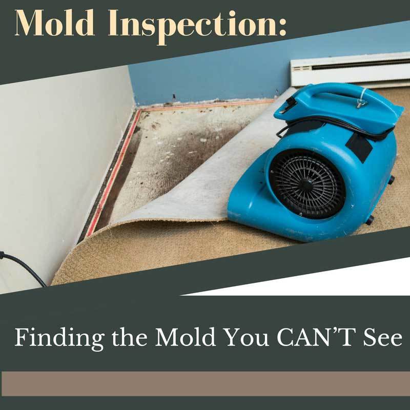 Mold Inspection Finding the Mold You CAN’T See AdvantaClean of the