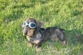 blindness Photos