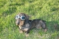 blindness Photos