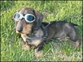 blindness Photos