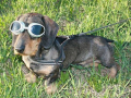 blindness Photos