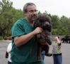 Yorkshire Terrier,terrier,neutering