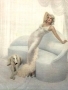 Borzoi Photos