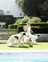 Borzoi Photos