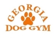 training,working dogs