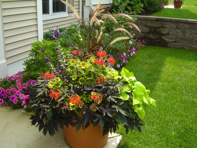container-gardening Container Gardening