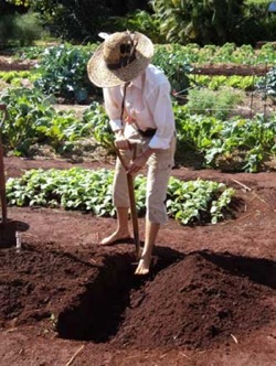 trench Double Digging - Trench
