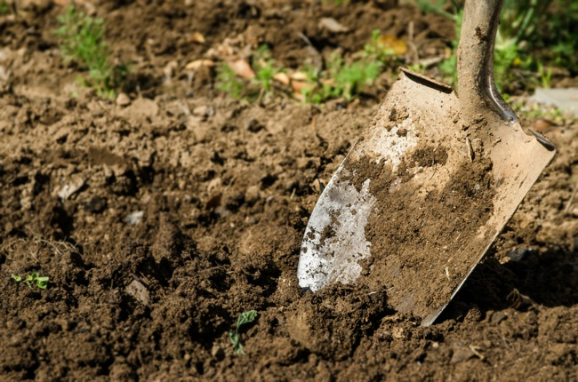 double-digging Double Digging