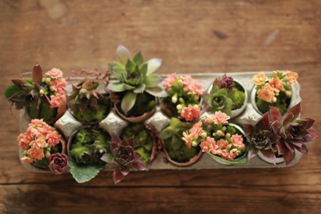 planter Reuse Egg Cartons - Planter