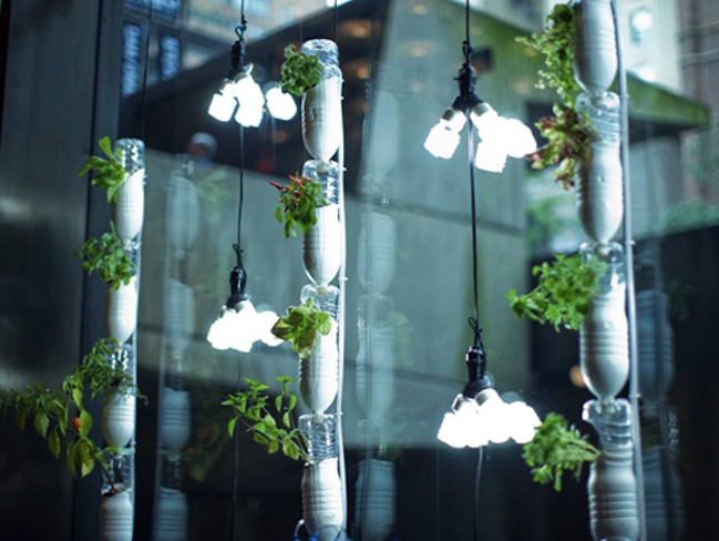 planter Reuse Plastic Bottles - Planter